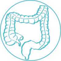 Cancer colorectal