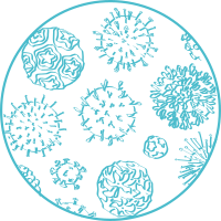Other viruses