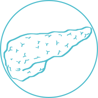 Cancer du pancreas