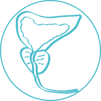 Cancer de la prostate